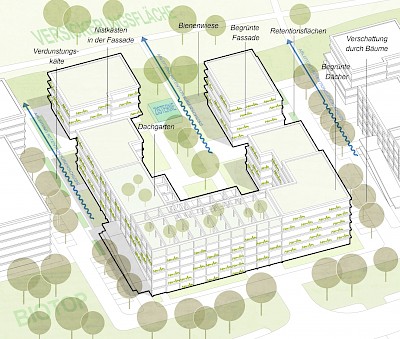 Blau-Gr&uuml;ne Infrastruktur Versickerung
